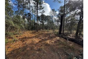SE 133RD AVE, DUNNELLON, FL 34431 - MLS#MFRTB8350744