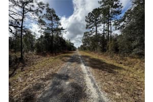SE 133RD AVE, DUNNELLON, FL 34431 - MLS#MFRTB8350744