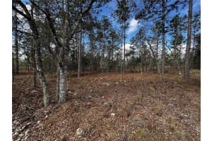 SE 131ST AVE, DUNNELLON, FL 34431 - MLS#MFRTB8350764