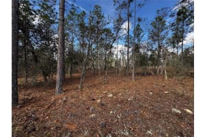 SE 131ST AVE, DUNNELLON, FL 34431 - MLS#MFRTB8350764