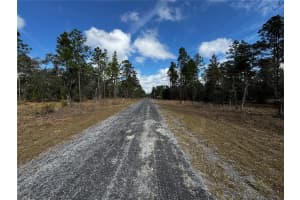 SE 131ST AVE, DUNNELLON, FL 34431 - MLS#MFRTB8350764