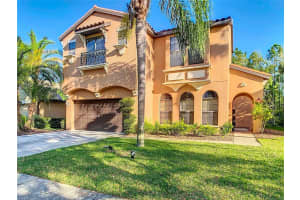 8264 Dunham Station Dr, TAMPA