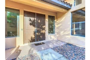 8264 DUNHAM STATION DRIVE, TAMPA, FL 33647 - MLS#MFRTB8350866