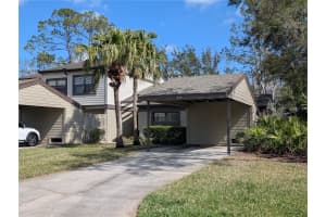 375 WOODS LANDING TRAIL, OLDSMAR, FL 34677 Sold 06/20/25