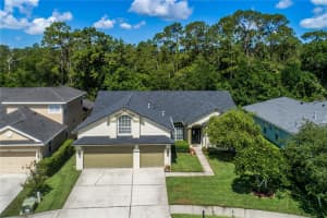 12906 TAR FLOWER DRIVE, TAMPA, FL 33626 Sold 07/24/25