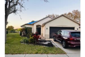 11006 LAUREL BROOK COURT, RIVERVIEW, FL 33569 Sold 03/31/25
