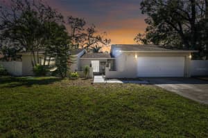 1008 SAMY DRIVE, TAMPA, FL 33613 Sold 04/07/25