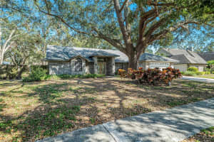 3013 RIDGEVALE CIRCLE, VALRICO, FL 33596 - MLS#MFRTB8351164