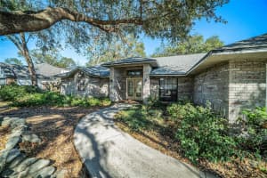 3013 RIDGEVALE CIRCLE, VALRICO, FL 33596 - MLS#MFRTB8351164