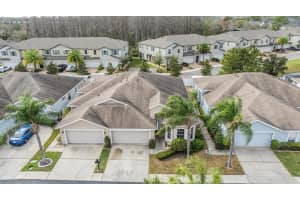 10024 BUCKLIN STREET, TAMPA, FL 33625 Sold 03/20/25