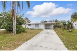 1338 ALASKA AVENUE, PALM HARBOR, FL 34683 Sold 05/06/25