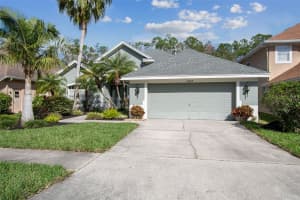 10439 GREENDALE DRIVE, TAMPA, FL 33626 Sold 04/30/25