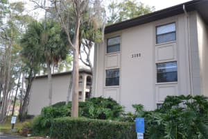 3399 Mermoor Dr #110, PALM HARBOR