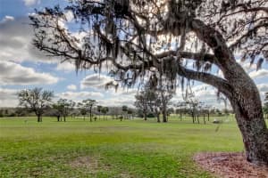 1718 GOLFVIEW DRIVE, TARPON SPRINGS, FL 34689 Sold 05/29/25