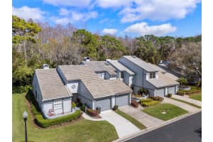 4115 BRENTWOOD PARK CIRCLE, TAMPA, FL 33624 Sold 05/27/25