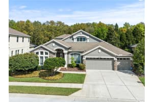 15335 AZRA DRIVE, ODESSA, FL 33556 Sold 04/11/25