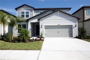 14184 Hammock Crest Way, RIVERVIEW