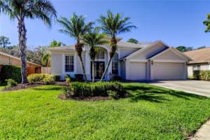 10614 Chambers Dr, TAMPA