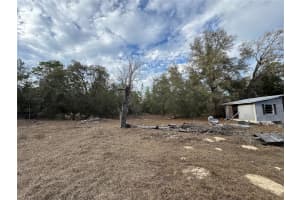28430 97TH LANE, NEWBERRY, FL 32669 - MLS#MFRTB8351580