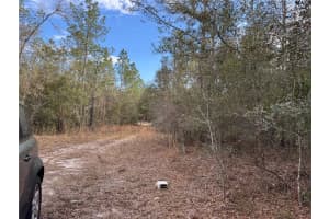 28430 97TH LANE, NEWBERRY, FL 32669 - MLS#MFRTB8351580