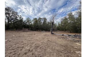 28430 97TH LANE, NEWBERRY, FL 32669 - MLS#MFRTB8351580