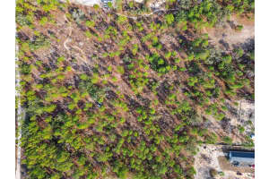 SENECA RD, WEEKI WACHEE, FL 34614 Sold 09/16/25