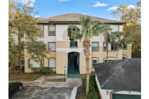 17106 CARRINGTON PARK DRIVE, TAMPA, FL 33647 - MLS#MFRTB8351615