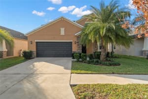 11720 WINTERSET COVE DRIVE, RIVERVIEW, FL 33579 Sold 07/03/25