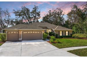 4701 MARSH HAWK COURT, VALRICO, FL 33596 Sold 05/27/25