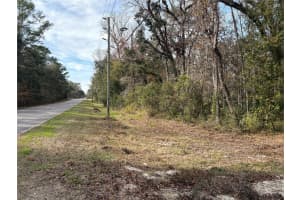 0 LAKE LINDSEY ROAD, BROOKSVILLE, FL 34601 - MLS#MFRTB8351684