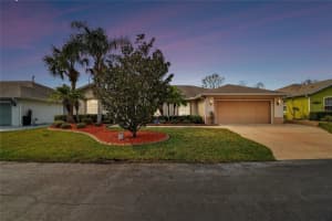 10416 MOSHIE LANE, SAN ANTONIO, FL 33576 Sold 06/24/25