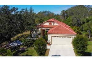 701 LIGHTHOUSE DRIVE, TARPON SPRINGS, FL 34689 Sold 03/21/25