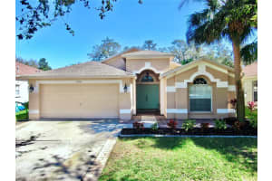 6004 MARTINGLADE PLACE, LITHIA, FL 33547 Sold 04/08/25