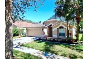 6004 MARTINGLADE PLACE, LITHIA, FL 33547 Sold 04/08/25