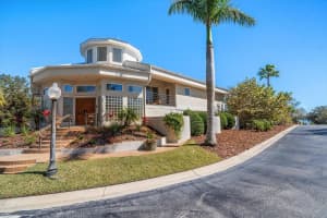 118 WATERBERRY DRIVE, TARPON SPRINGS, FL 34688 Sold 05/06/25