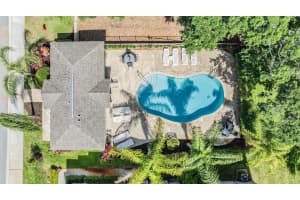 450 HARBOR SPRINGS DRIVE, PALM HARBOR, FL 34683 - MLS#MFRTB8351928