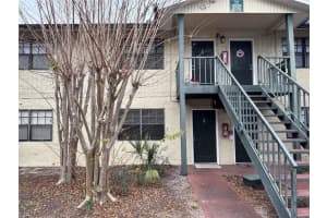 204 Pine Tulip Ct #102, TAMPA