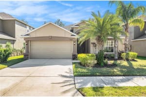 10809 River Hawk Lane, RIVERVIEW