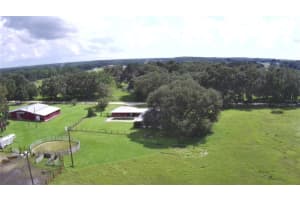 32817 LEONARD ROAD, SAN ANTONIO, FL 33576 - MLS#MFRTB8351962