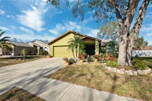 11508 SMOKETHORN DRIVE, RIVERVIEW, FL 33579 Sold 04/23/25