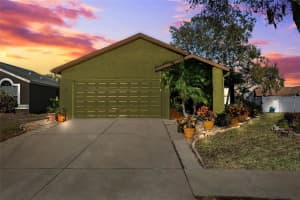 11508 SMOKETHORN DRIVE, RIVERVIEW, FL 33579 Sold 04/23/25