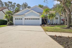4442 CLAIRSON COURT, PALM HARBOR, FL 34685 Sold 05/06/25