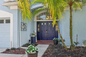 4442 CLAIRSON COURT, PALM HARBOR, FL 34685 Sold 05/06/25
