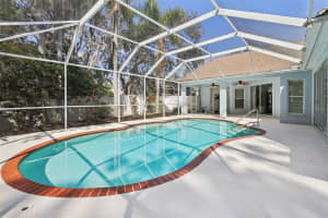 4442 CLAIRSON COURT, PALM HARBOR, FL 34685 Sold 05/06/25
