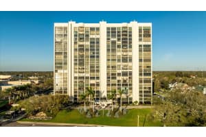 3301 BAYSHORE BOULEVARD, TAMPA, FL 33629 Sold 05/21/25