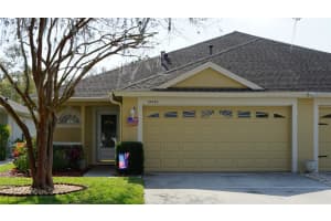 19432 HASKELL PLACE, LAND O LAKES, FL 34638 - MLS#MFRTB8352088