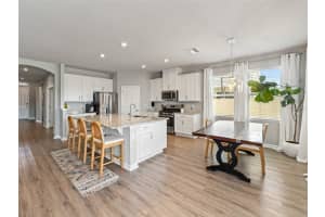 11615 CLEYERA COURT, RIVERVIEW, FL 33579 Sold 05/02/25