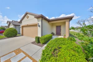 9116 GRANT LINE LANE, RIVERVIEW, FL 33578 Sold 04/25/25