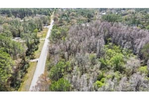 BEAVER LN, WESLEY CHAPEL, FL 33544 - MLS#MFRTB8352277
