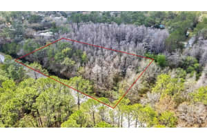 BEAVER LN, WESLEY CHAPEL, FL 33544 - MLS#MFRTB8352277